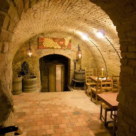 Hotel Vinař - *